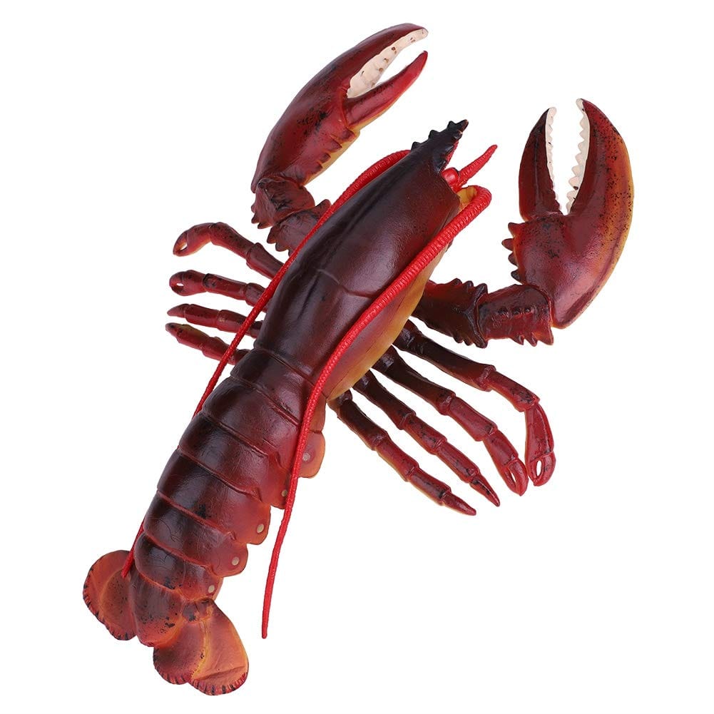 QIRG Simulation Lobster, Durable Plastic Lobster, Safe with Exquisite(Dark-Australian Lobster, 23cm)