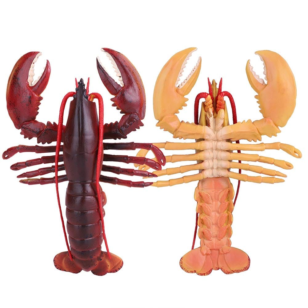 QIRG Simulation Lobster, Durable Plastic Lobster, Safe with Exquisite(Dark-Australian Lobster, 23cm)