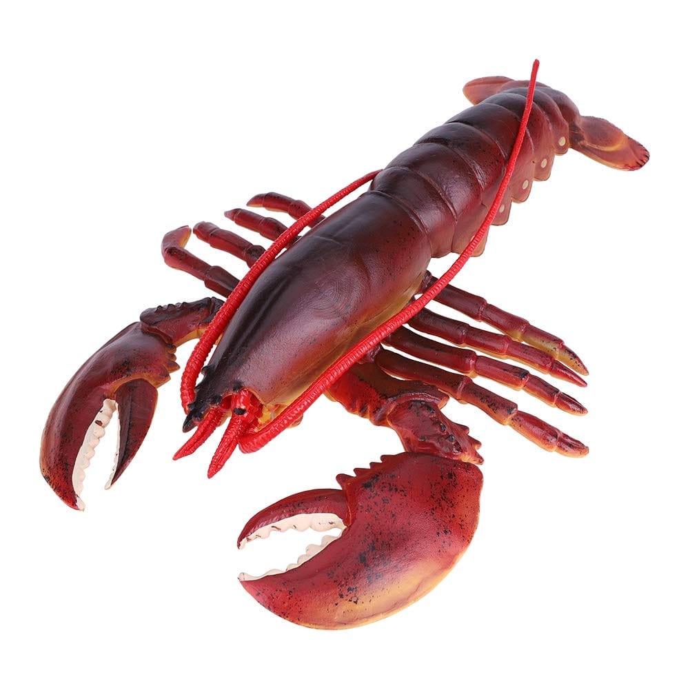 QIRG Simulation Lobster, Durable Plastic Lobster, Safe with Exquisite(Dark-Australian Lobster, 23cm)