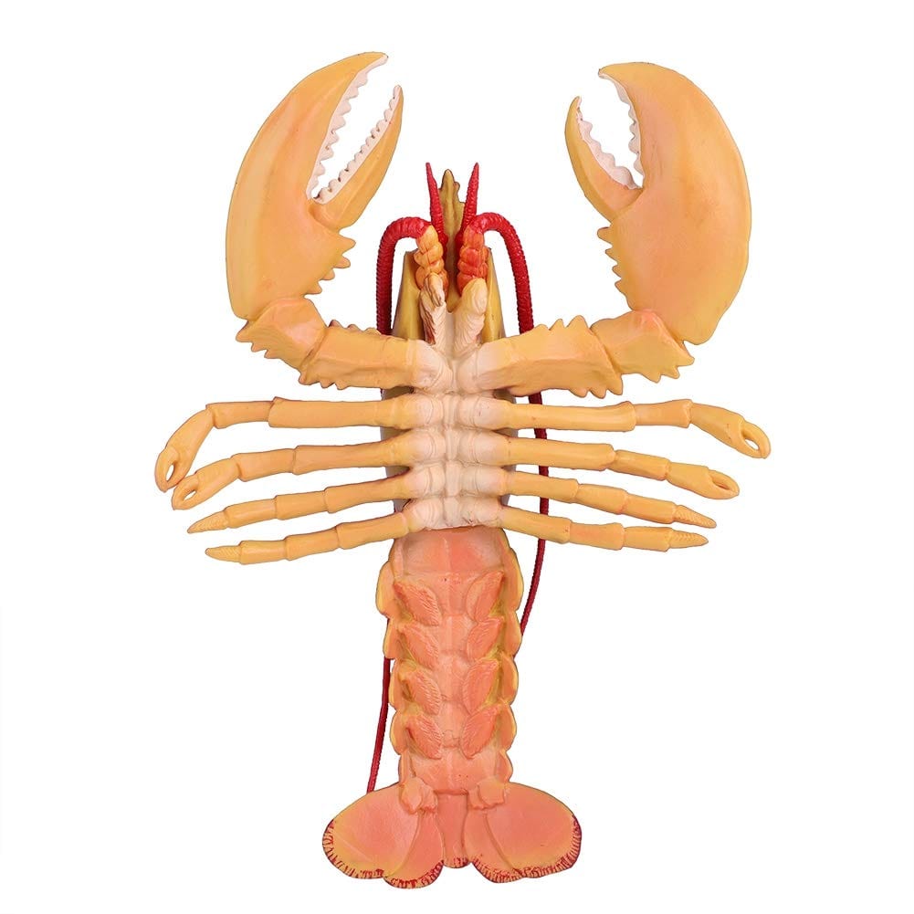 QIRG Simulation Lobster, Durable Plastic Lobster, Safe with Exquisite(Dark-Australian Lobster, 23cm)