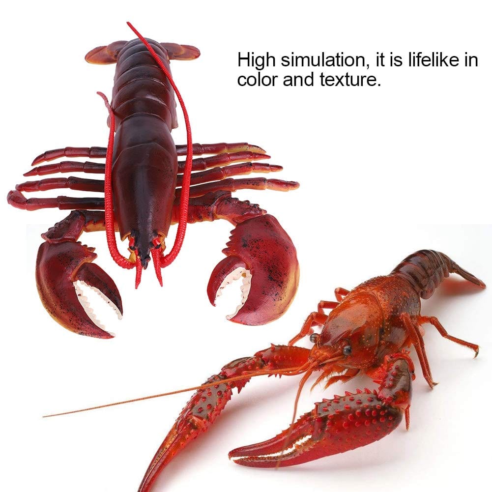 QIRG Simulation Lobster, Durable Plastic Lobster, Safe with Exquisite(Dark-Australian Lobster, 23cm)