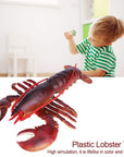 QIRG Simulation Lobster, Durable Plastic Lobster, Safe with Exquisite(Dark-Australian Lobster, 23cm)