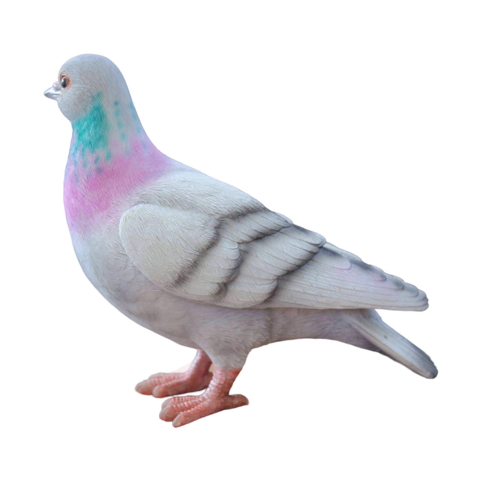 Vivid Arts Vivid Arts- British Birds- Realistic Resin Pigeon Ornament