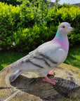 Vivid Arts Vivid Arts- British Birds- Realistic Resin Pigeon Ornament