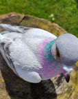 Vivid Arts Vivid Arts- British Birds- Realistic Resin Pigeon Ornament