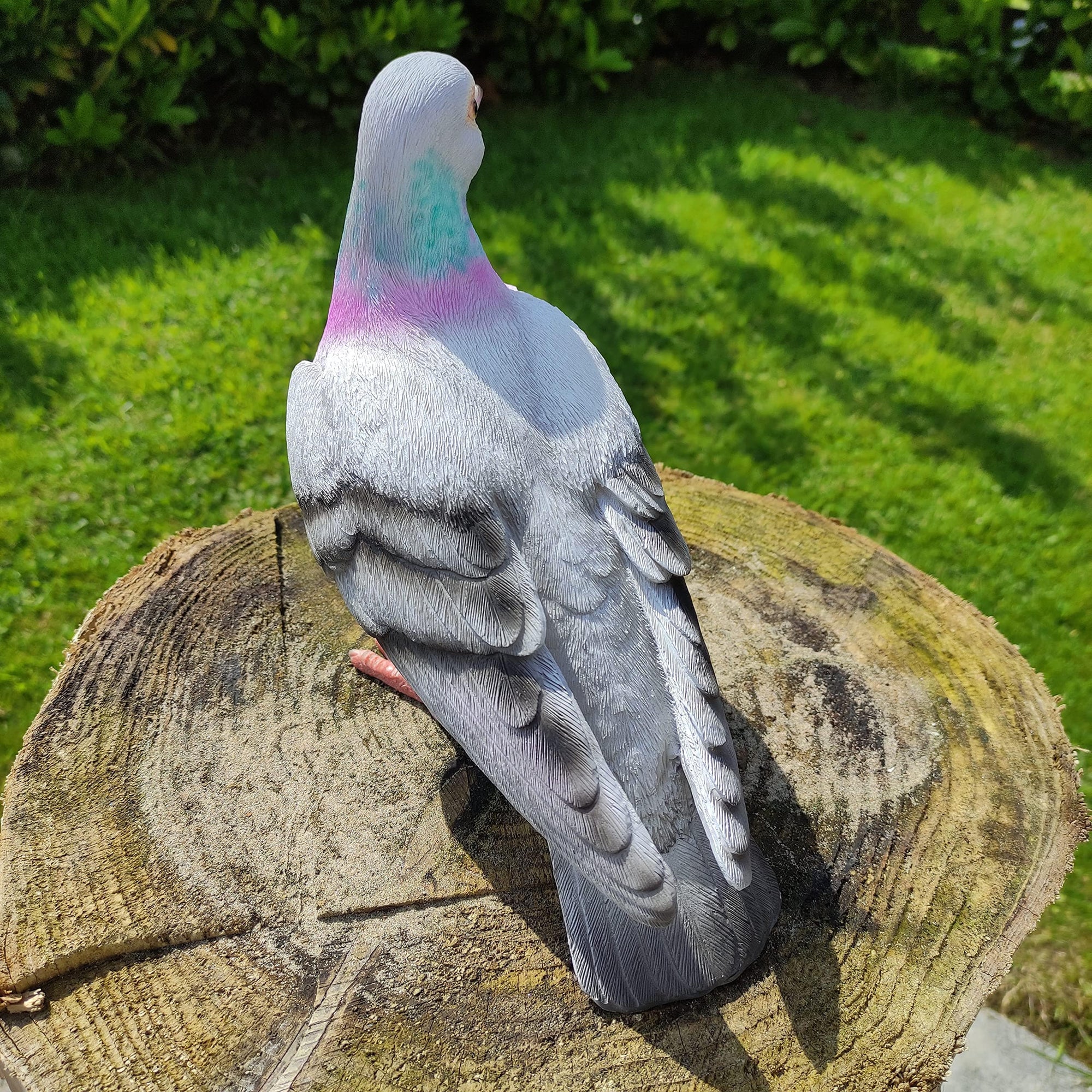 Vivid Arts Vivid Arts- British Birds- Realistic Resin Pigeon Ornament