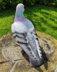 Vivid Arts Vivid Arts- British Birds- Realistic Resin Pigeon Ornament