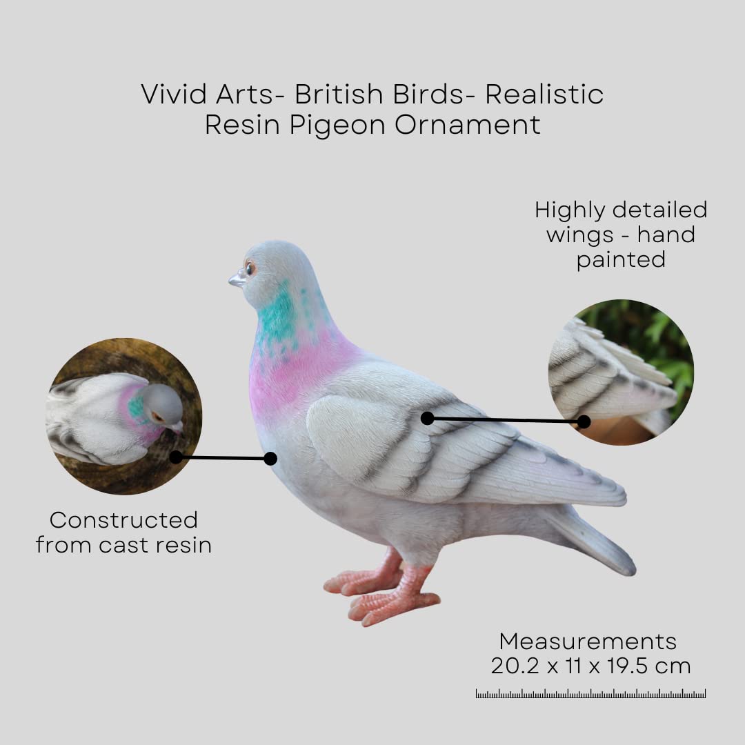 Vivid Arts Vivid Arts- British Birds- Realistic Resin Pigeon Ornament