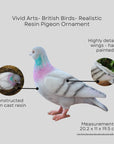 Vivid Arts Vivid Arts- British Birds- Realistic Resin Pigeon Ornament